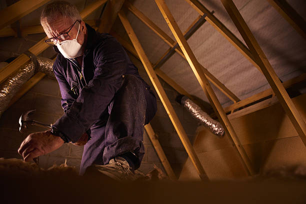 Professional Insulation Contractor in West Point, VA